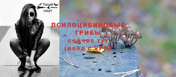 гашик Верхний Тагил
