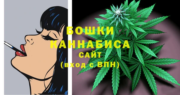 гидра Верея