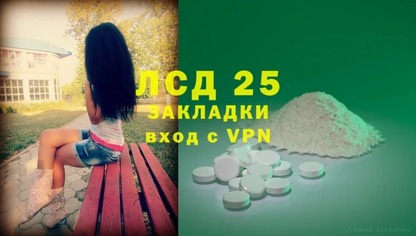 гидра Верея